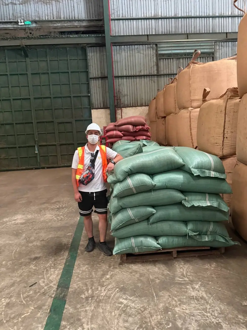 Vietnamese green coffee beans in export bags ready for shipping