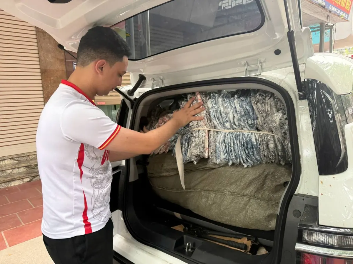 Export packing and container loading of inspected goods for MENA